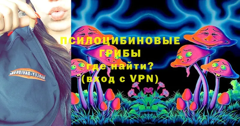 Галлюциногенные грибы Psilocybe  даркнет наркотические препараты  Губкинский 